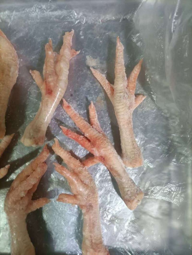 冷冻鸡爪，按需加工鸡腿鸡翅，鸡胸，鸡架，鸡背肉，去骨切块