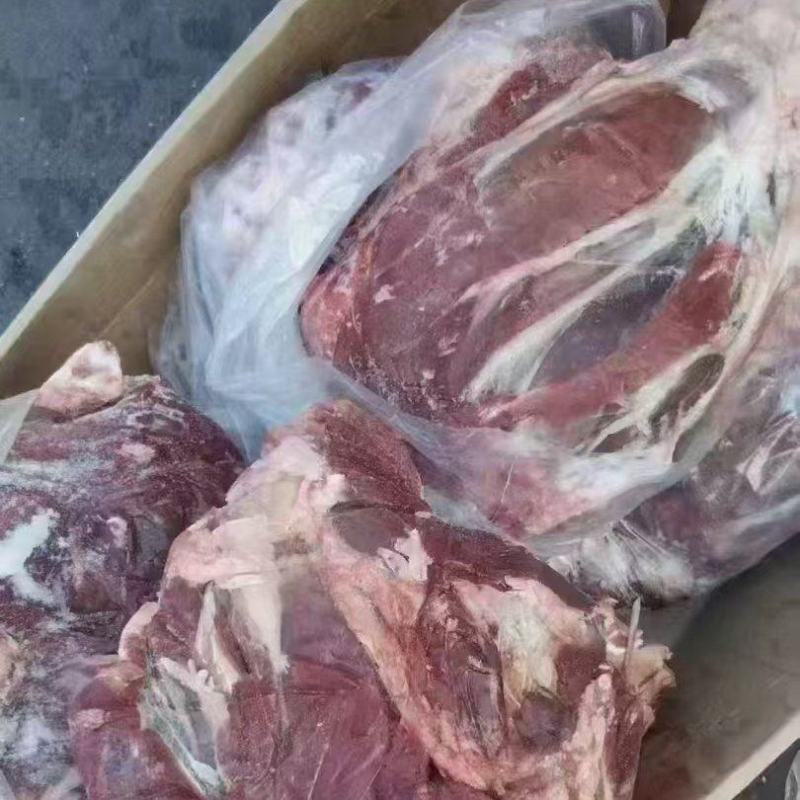 13厂牛前腱