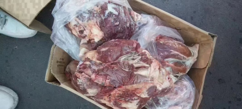13厂牛前腱