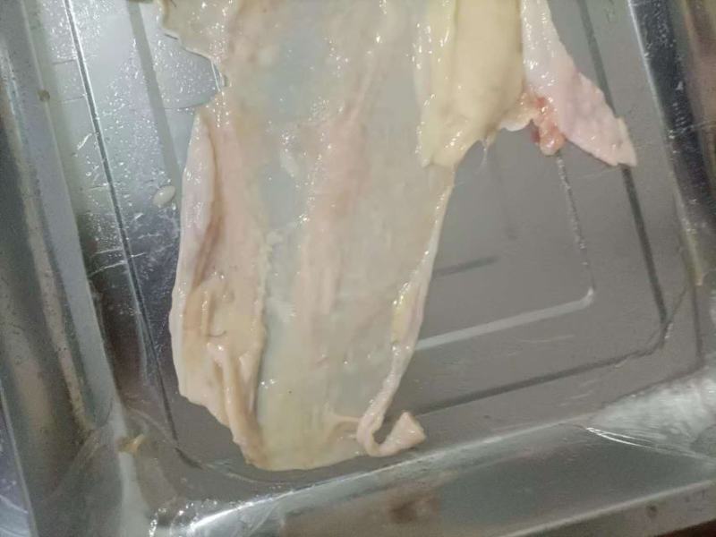 鸡胸皮，按需加工鸡腿，鸡翅，鸡胸，鸡爪，鸡架，鸡皮。