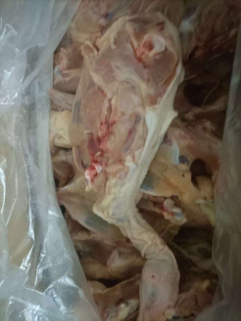 食用鸡架，带头带尾，净堂，按需加工乇乇肉，鸡腿，去骨切块