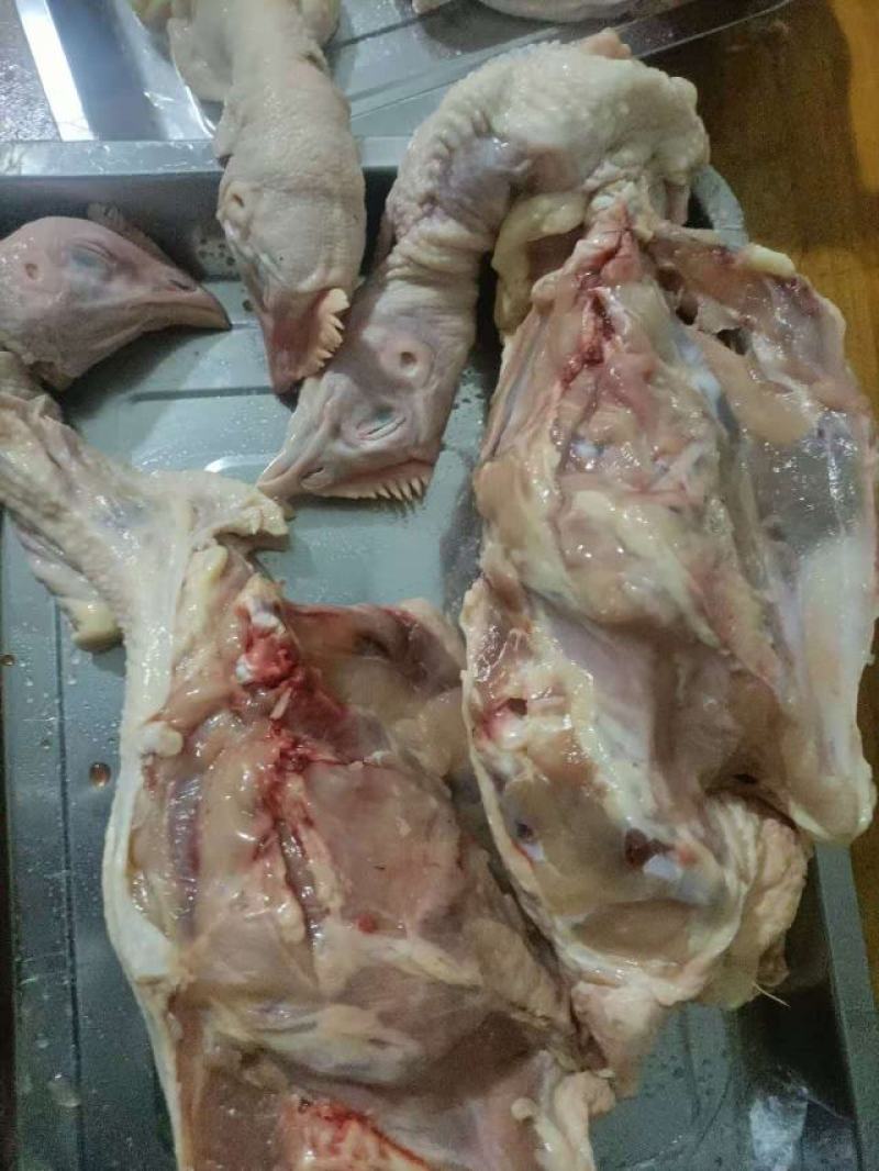食用鸡架，带头带尾，净堂，按需加工乇乇肉，鸡腿，去骨切块