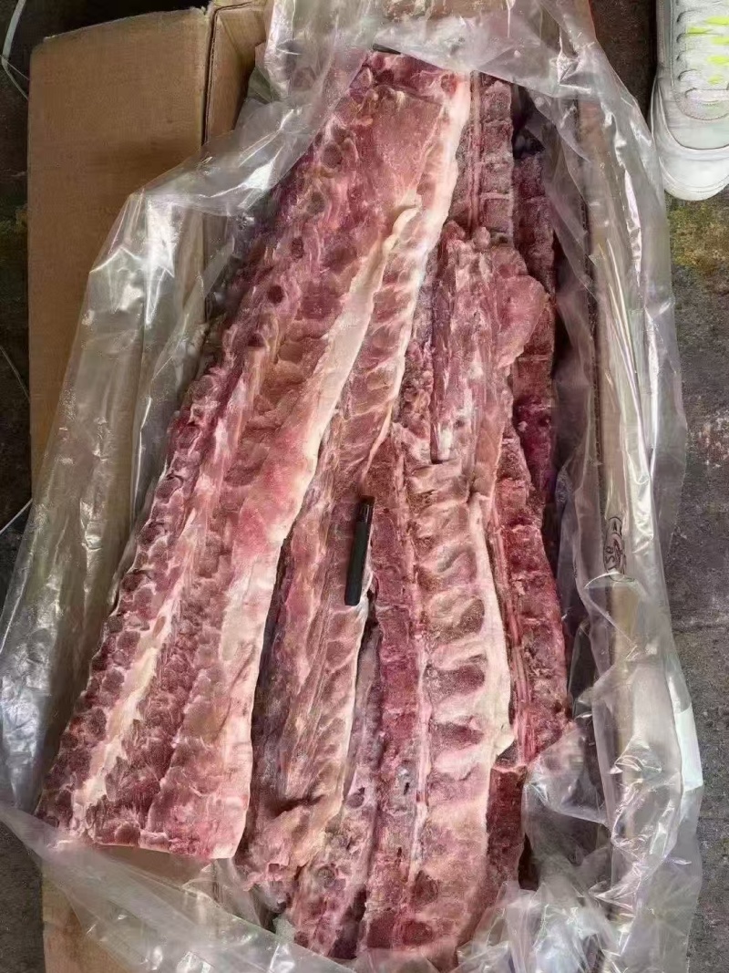猪背骨