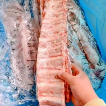 母猪寸排