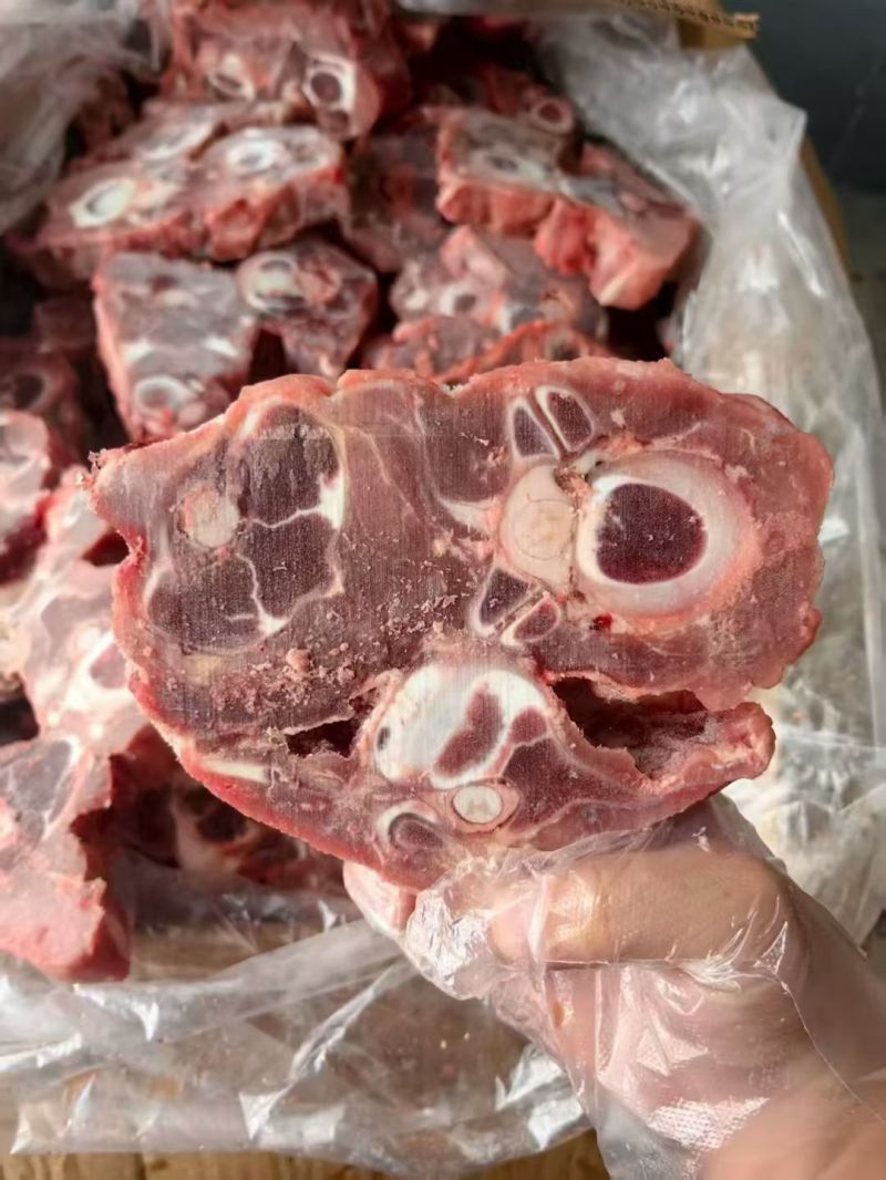 满肉乳牛蝎子