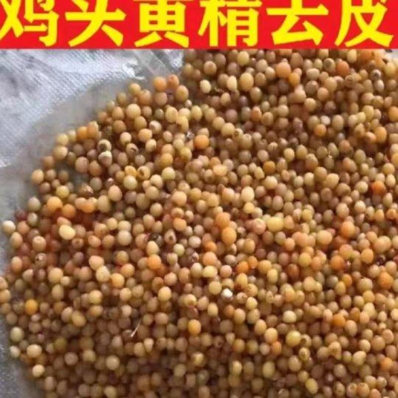 鸡头黄精种子.100元每斤