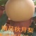 秋月梨