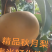 秋月梨