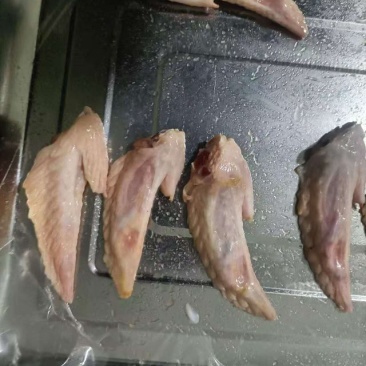 冷冻鸡翅尖，按需加工，翅中，翅根，鸡胸，鸡腿，去骨切块