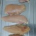 鸡小胸，按需加工鸡腿，鸡翅，鸡爪，按需去骨，切块包装