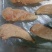 鸡小胸，按需加工鸡腿，鸡翅，鸡爪，按需去骨，切块包装