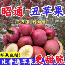 《昭通苹果》丑苹果/红富士苹果/冰糖心/供应电商批发市场