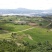 丝滑蜜薯（基地、供应链公司承接各类采购）