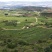 丝滑蜜薯（基地、供应链公司承接各类采购）