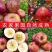 《昭通苹果》丑苹果/红富士苹果/冰糖心/供应电商批发市场