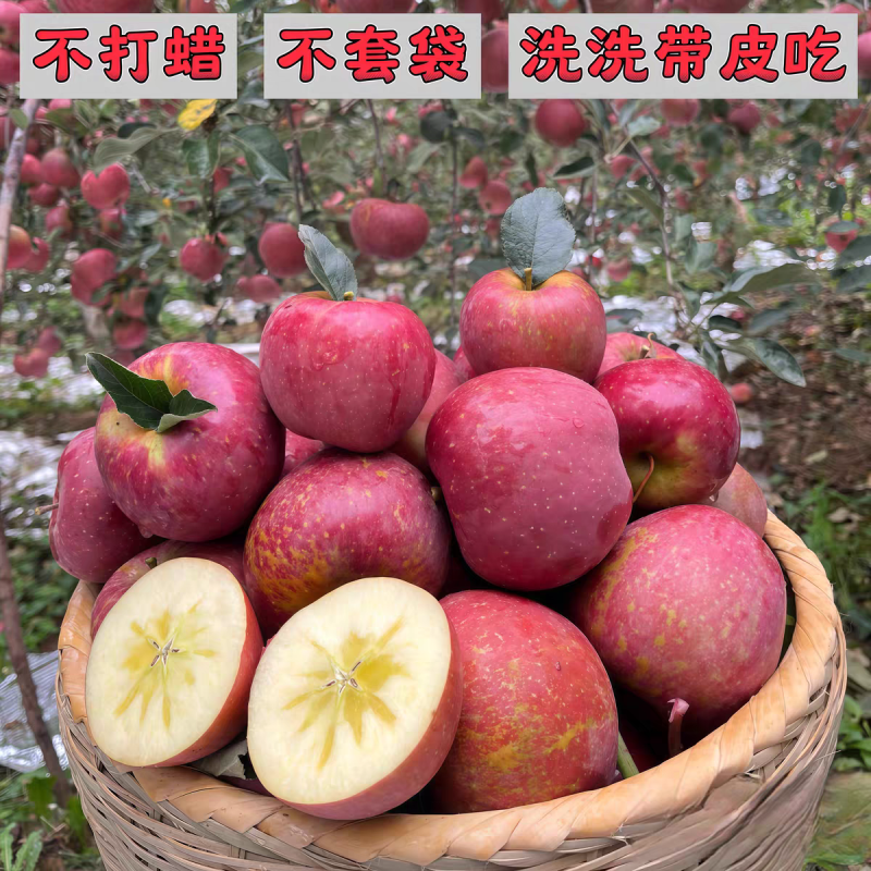 《昭通苹果》丑苹果/红富士苹果/冰糖心/供应电商批发市场