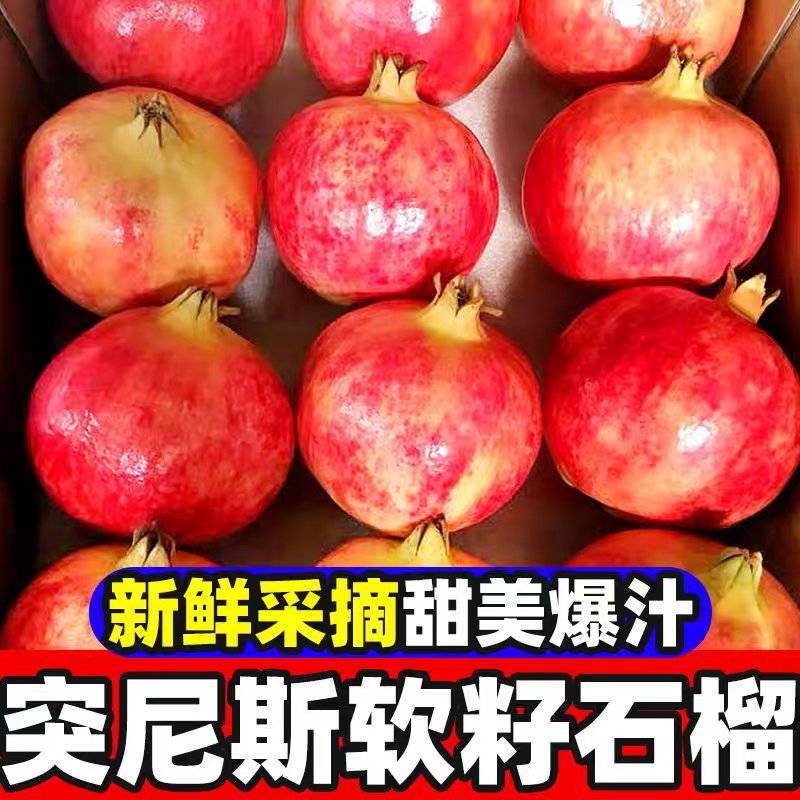 《软籽石榴》会理石榴产地货源突尼斯石榴/供应电商一件代发