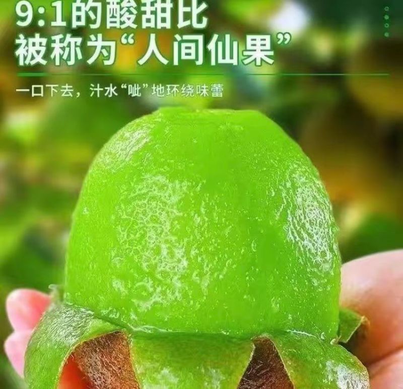 山东绿心猕猴桃奇异果猕猴桃种植基地直发没有中间商按需包装