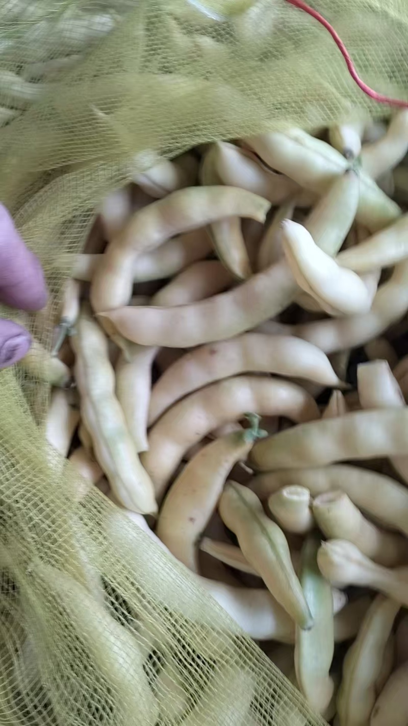东北特产黄金钩豆角