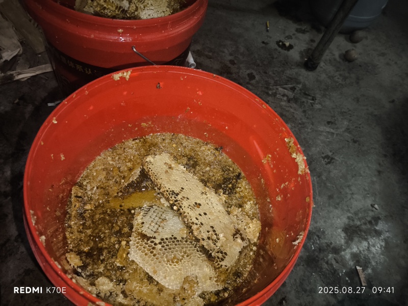 【精品】土蜂蜜每年只采一次物美价廉供应全国欢迎咨询下单