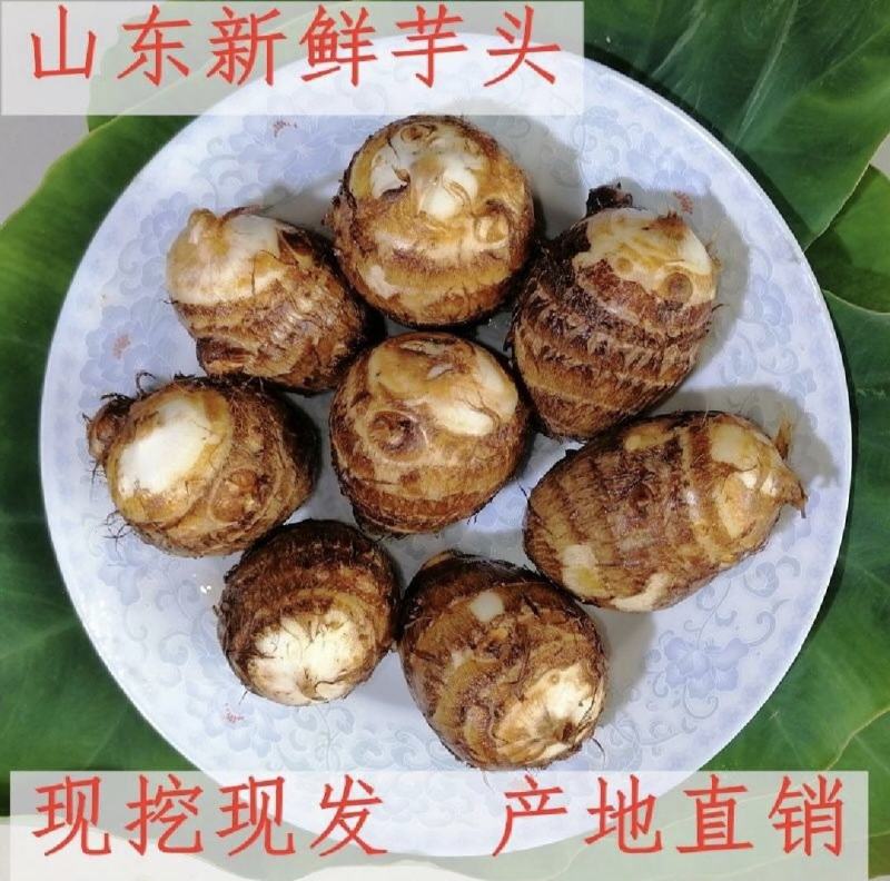 毛芋头产地供应一手货源对接市场电商