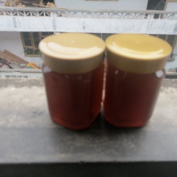 自家养的士蜂蜜