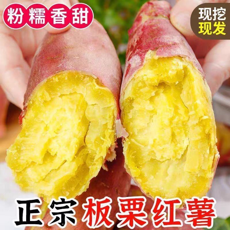 陕西板栗红薯，对接电商团购一件代发等，保质保量，诚信经