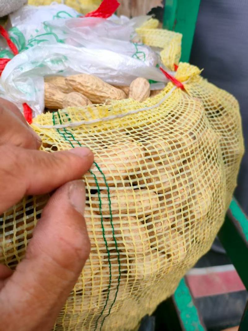 【热卖】开封红薯，河南红薯，种植基地，个大均匀，保证保量