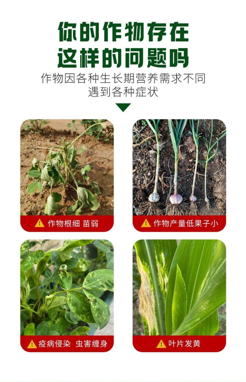 二铵搭配秸秆催熟抗冻钾秸秆还田修复土壤替代钾肥正品保证
