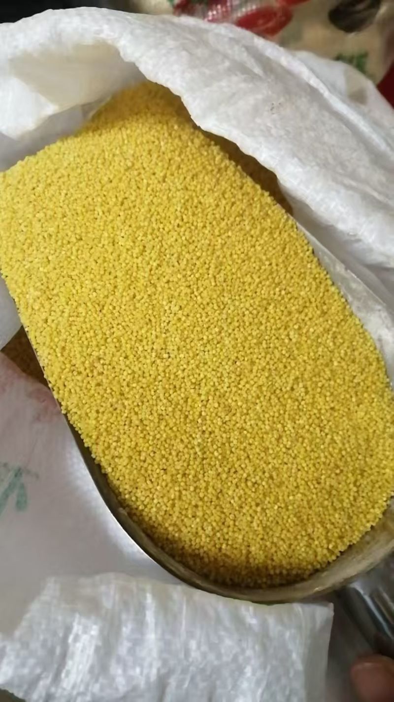 山地小米，品质保证！实拍，建议拍小包，先尝品质！自产自销