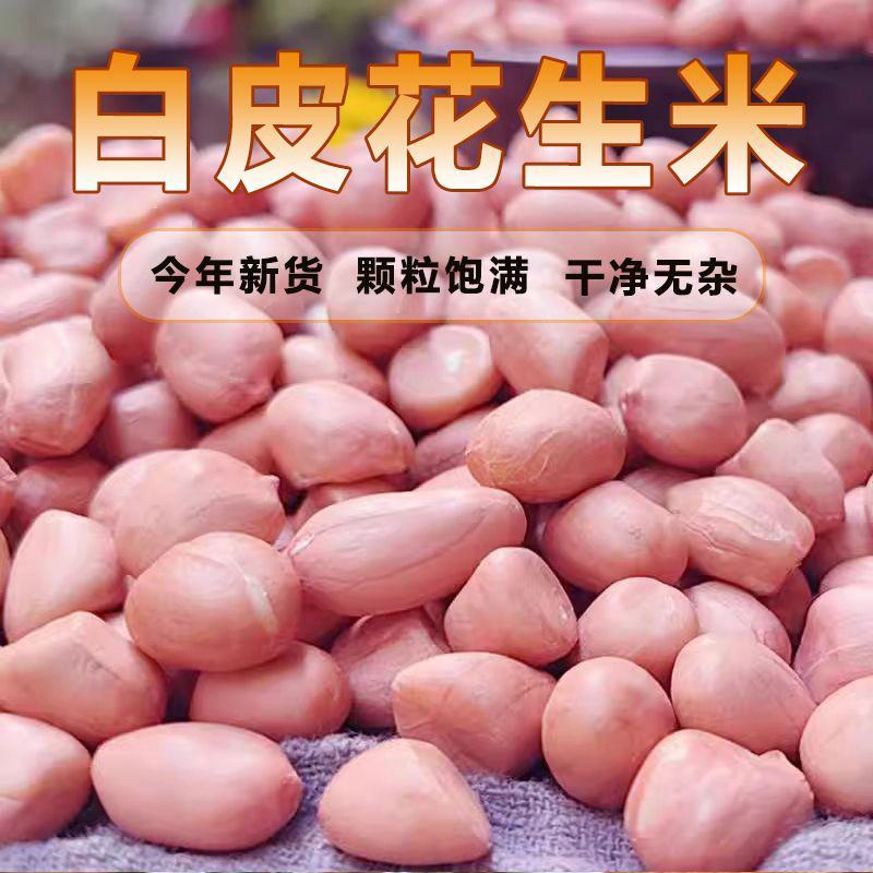花生米全国发货白色花生米鲁花花生米无霉变无坏颗粒