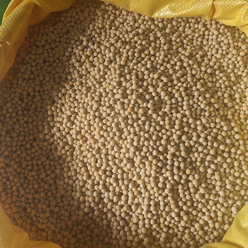 黄豆大豆全国发货无霉变无坏颗粒质量保证送货上门