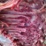 乳牛肉，狗粮
