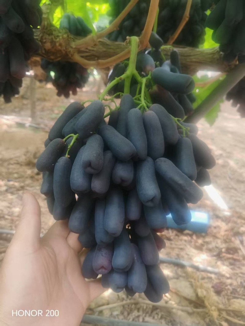 需要蓝宝石的老板联系大量供应产区直发