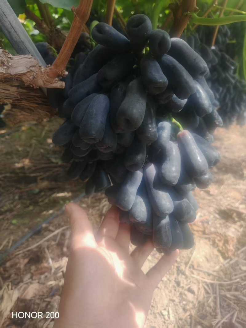 需要蓝宝石的老板联系大量供应产区直发