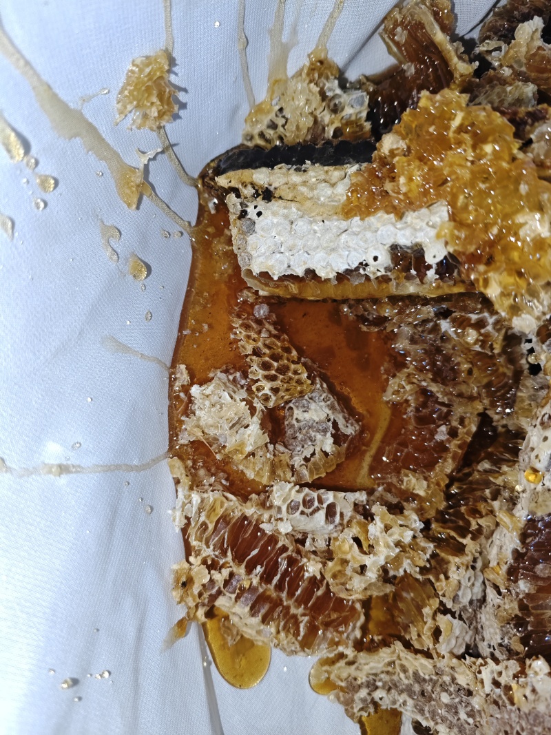 贵州高山土蜂蜜