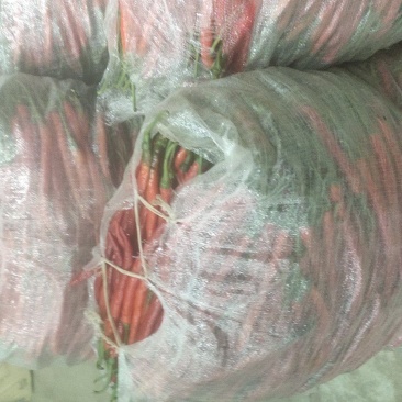 打箱货有需要打电话