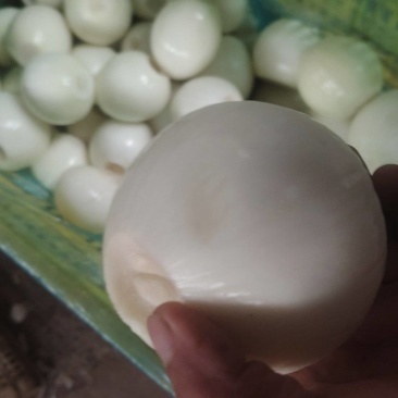 黄皮洋葱球大量现货供应规格包装定制超市电商食堂出口均可合