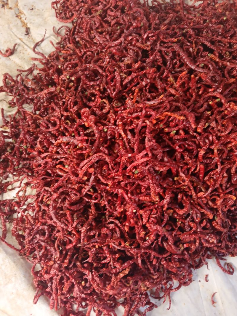 鸡肠红干辣椒