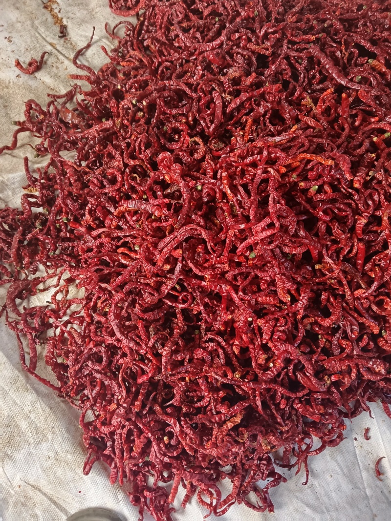 鸡肠红干辣椒