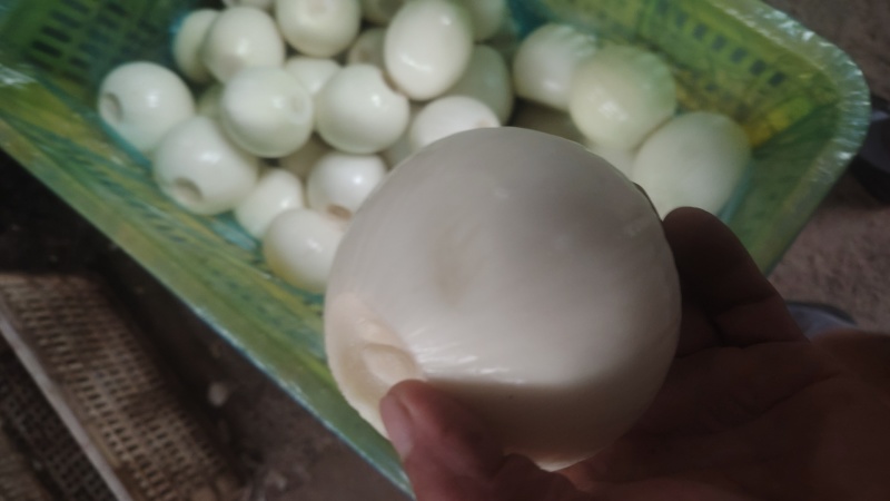 黄皮洋葱球大量现货供应规格包装定制超市电商食堂出口均可合