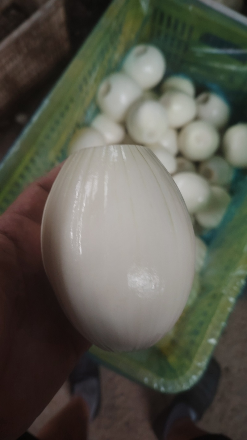 黄皮洋葱球大量现货供应规格包装定制超市电商食堂出口均可合