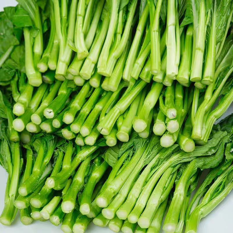《油菜苔》青菜苔/广东菜心/基地直发/供应市场，商超团购