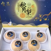 秋月梨宁陵秋月梨脆甜多汁产地直发品质保障对接全国