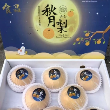 秋月梨宁陵秋月梨脆甜多汁产地直发品质保障对接全国