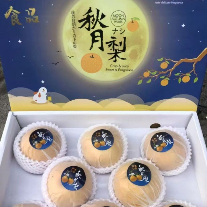 秋月梨宁陵秋月梨脆甜多汁产地直发品质保障对接全国
