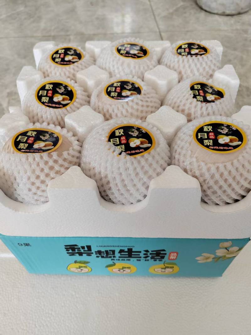 秋月梨宁陵秋月梨脆甜多汁产地直发品质保障对接全国
