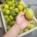 香水柠檬