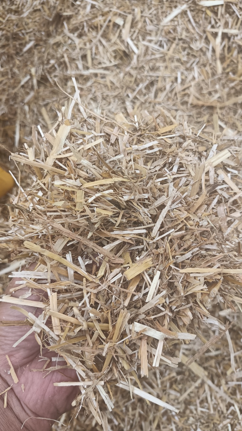 优质揉丝斩段小麦秸秆