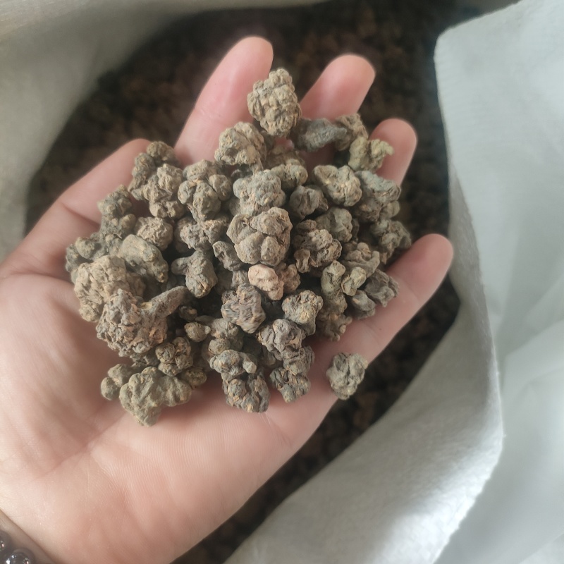精品大个夏天无货源稳定价格美丽诚信合作欢迎来电